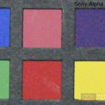 Nikon D3x VS Sony A900 ISO50-ISO6400 Review